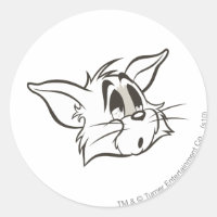 Tom Sleepy Cat