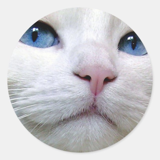 Tom Sticker (Vorderseite)