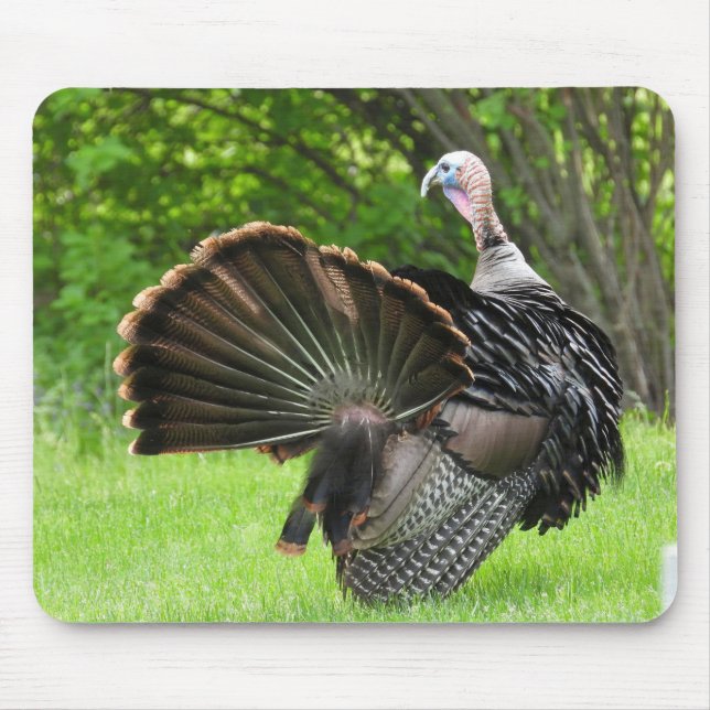 Tom Turkey Feather Display Mousepad (Vorne)