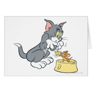 Tom und Jerry füttern die Katze