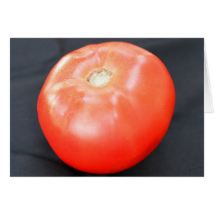 Tomate 3 du Jersey