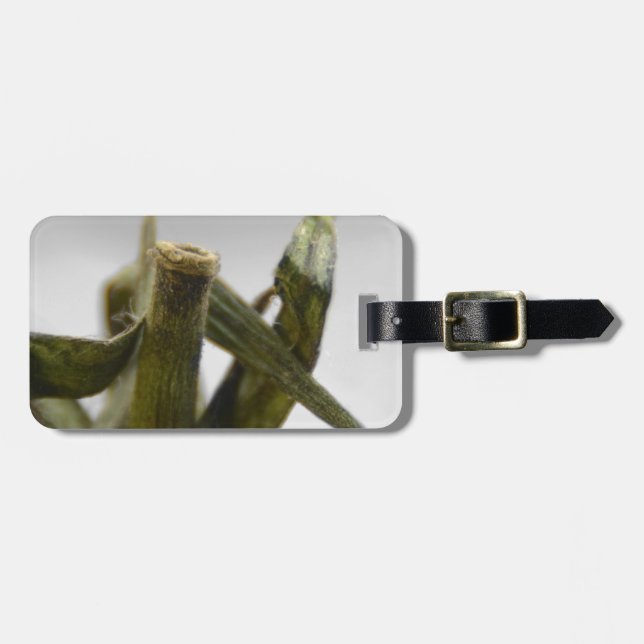 Tomate Gepäckanhänger (Vorderseite horizontal)