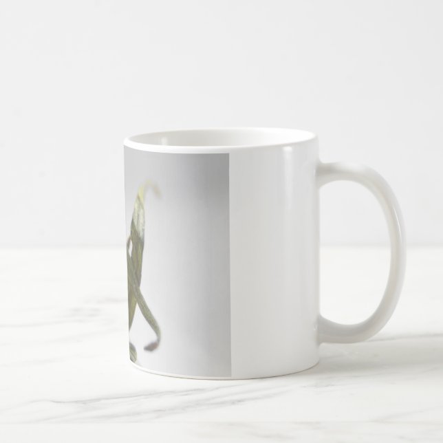 Tomate Kaffeetasse (Rechts)