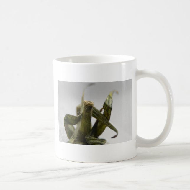 Tomate Kaffeetasse (Rechts)