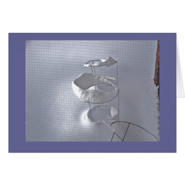 Tomate-Käfig im Winter (Vorderseite (Horizontal))