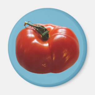 Tomate Magnet