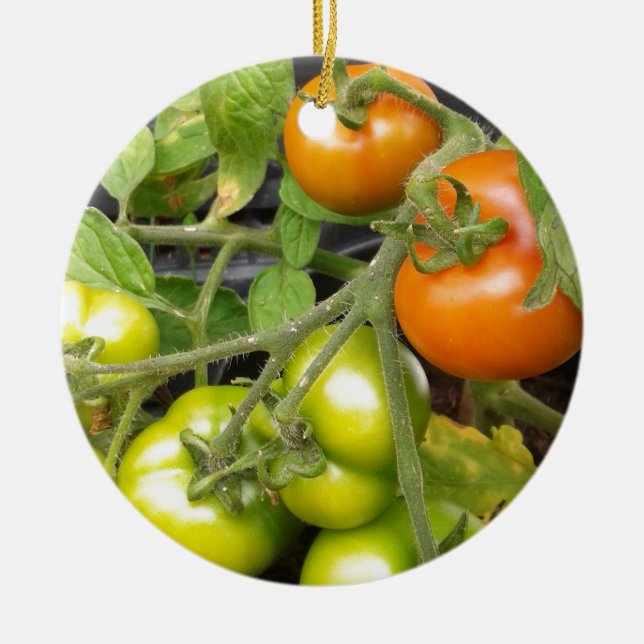 Tomate-Pflanze Keramikornament (Vorne)