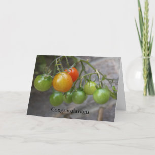 Tomate-Pflanzen-Glückwunsch-Karte Karte