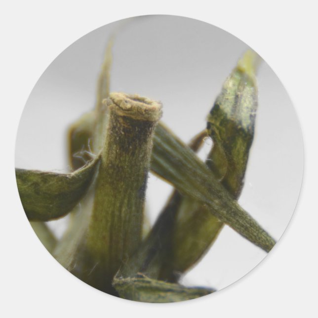 Tomate Runder Aufkleber (Vorderseite)