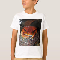 Tomatefrosch