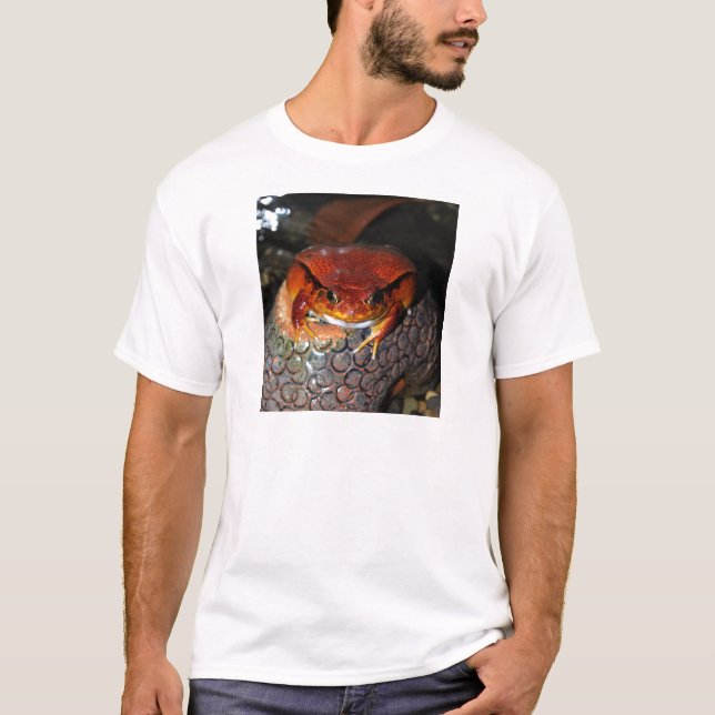Tomatefrosch T-Shirt (Vorderseite)