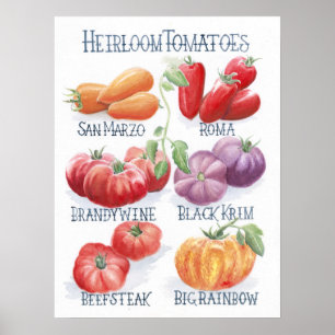 Tomaten Art Print Poster