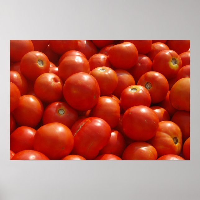 Tomaten auf dem Markt Poster (Vorne)