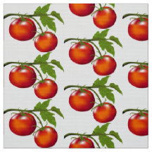 Tomaten im Weinbau