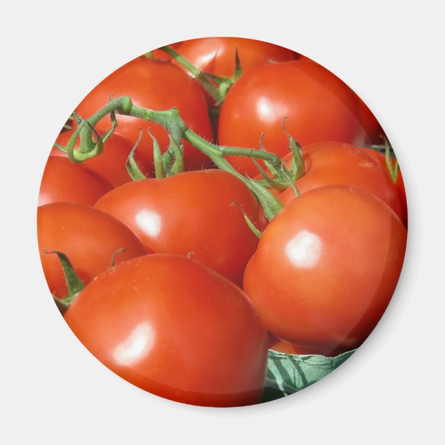 Tomaten Magnet (Vorne)