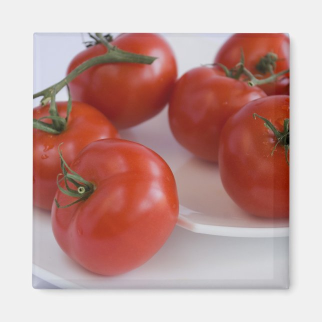 Tomaten/Paradeiser Magnet (Vorne)