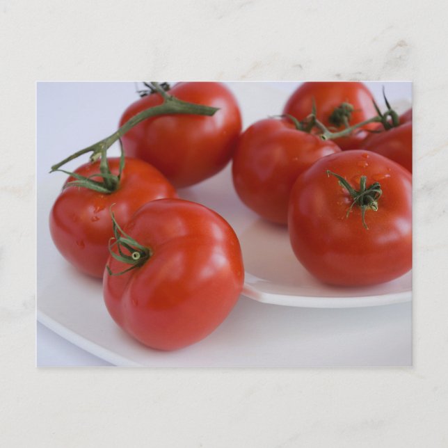 Tomaten/Paradeiser Postkarte (Vorderseite)