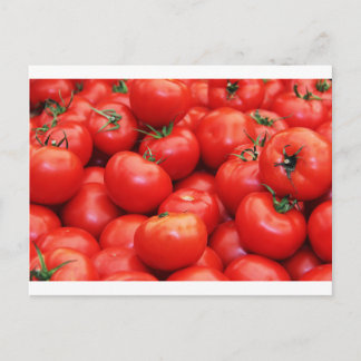 Tomaten Postkarte