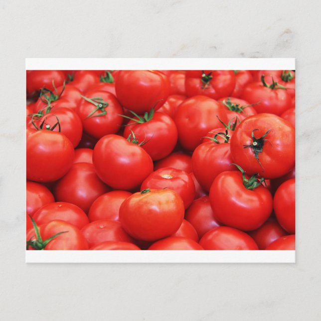 Tomaten Postkarte (Vorderseite)