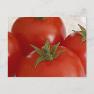 Tomaten Postkarte