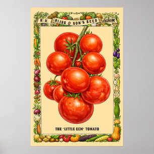 Tomaten Retro viktorianische Ära Botanische Kunst Poster