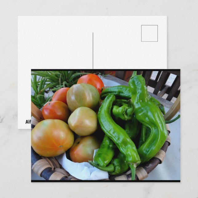 Tomaten und grüne Paprika im Korb Postkarte (Vorne/Hinten)