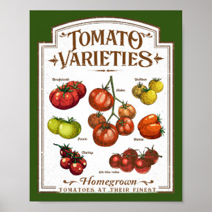 Tomatengärtner, Gemüsekartoffelgarten Poster