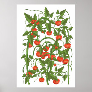 Tomatenmuster Poster