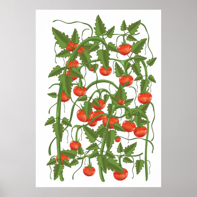 Tomatenmuster Poster (Vorne)