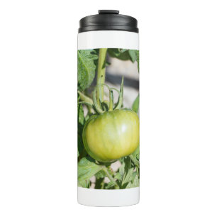 Tomatenreifung in einem Obstgarten Thermosbecher