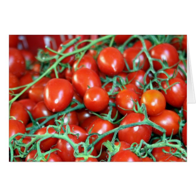 Tomatenweine (Vorderseite (Horizontal))