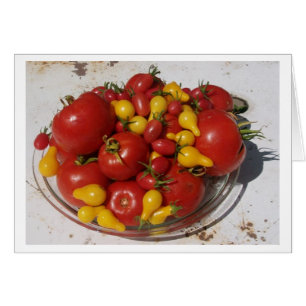 Tomates de ~ de collection de jardin de soleil