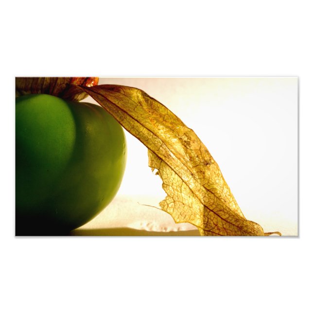 Tomatillo Fotodruck (Vorne)