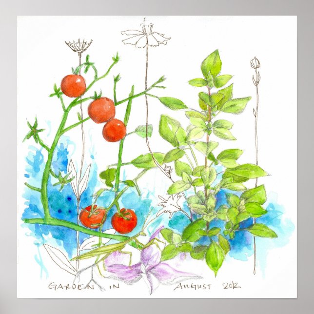 Tomato Basilikum Kräuter Wasserfarbener Garten Blu Poster (Vorne)