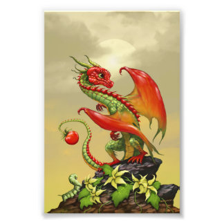 Tomato Dragon 4x6 Print Fotodruck