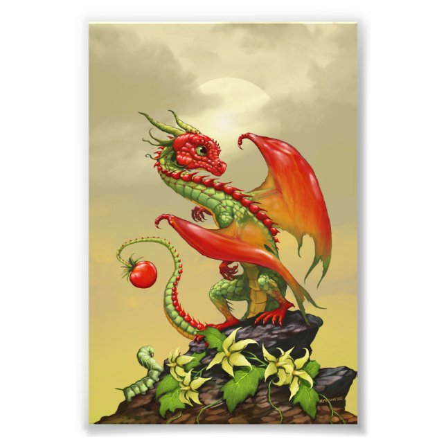 Tomato Dragon 4x6 Print Fotodruck (Vorne)