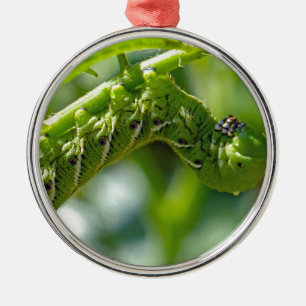 Tomato Hornworm Silbernes Ornament