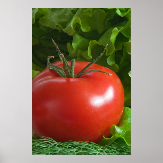 Tomato Poster (Vorne)