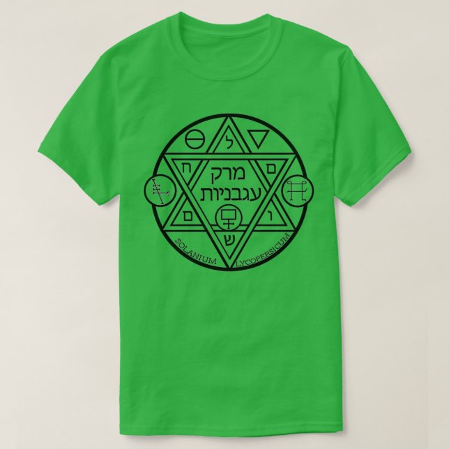 Tomato Soup Alchemy Sigil But in Black T-Shirt (Design vorne)