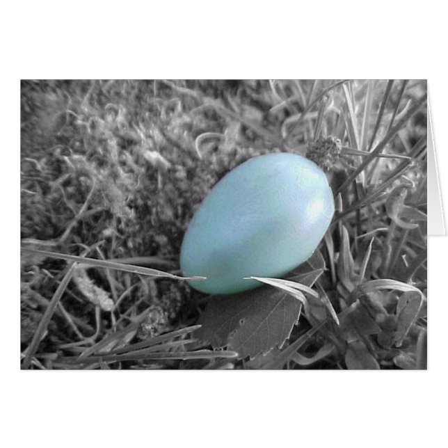 Tombé du nid (Devant horizontal)