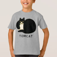 Tomcat Chinese Qing Dynsty Black Manchu Cat