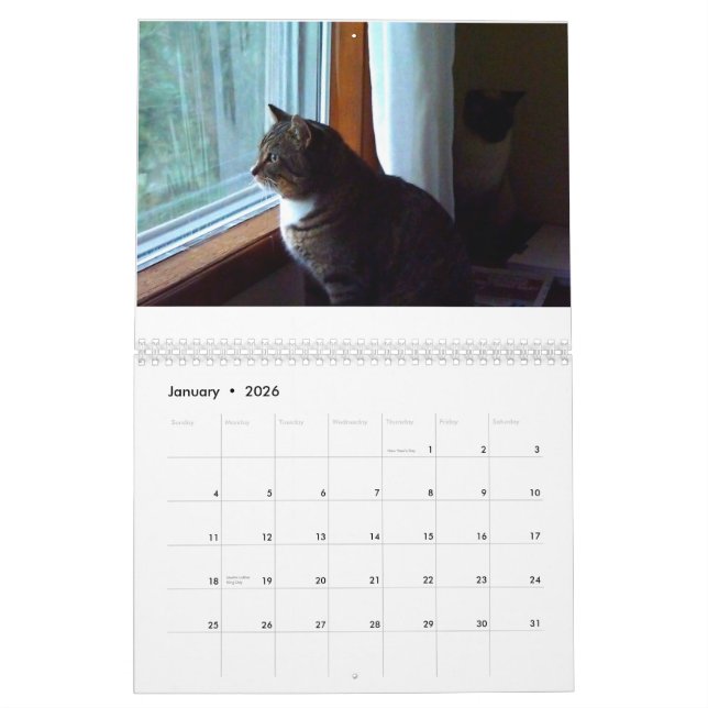 Tommy der Tabby Kalender (Jan 2026)