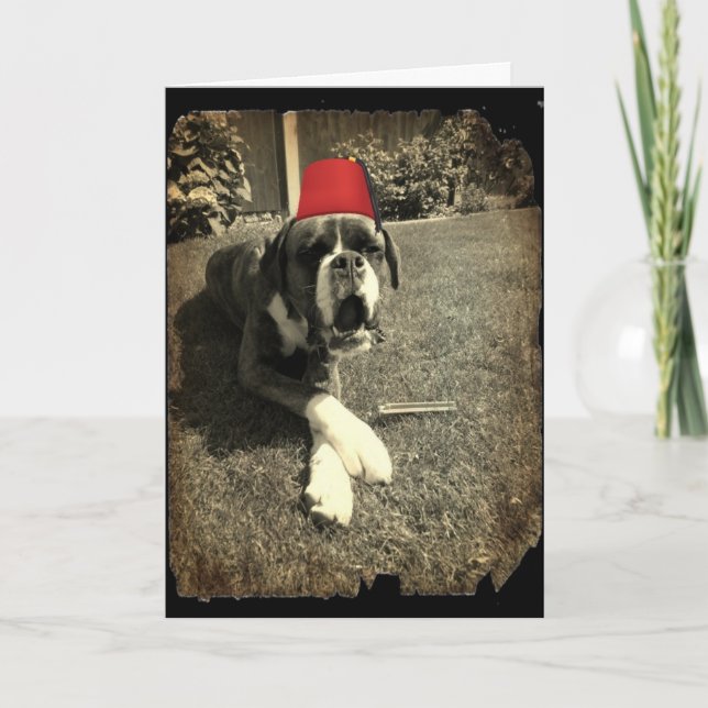 Tommy-Fassbinder-Boxer-Hund Karte (Vorderseite)
