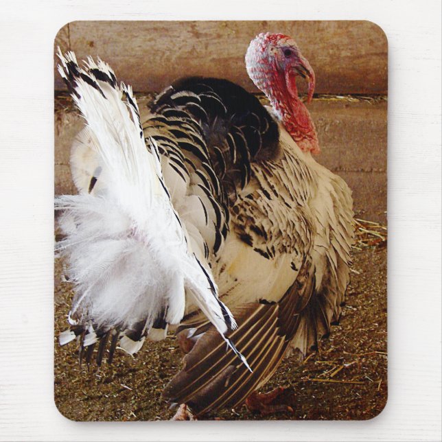 Tommy Mousepad (Vorne)