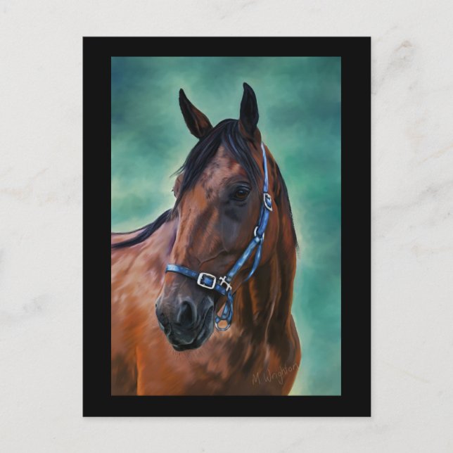 Tommy Standardbred Pferde Art Postkarte (Vorderseite)