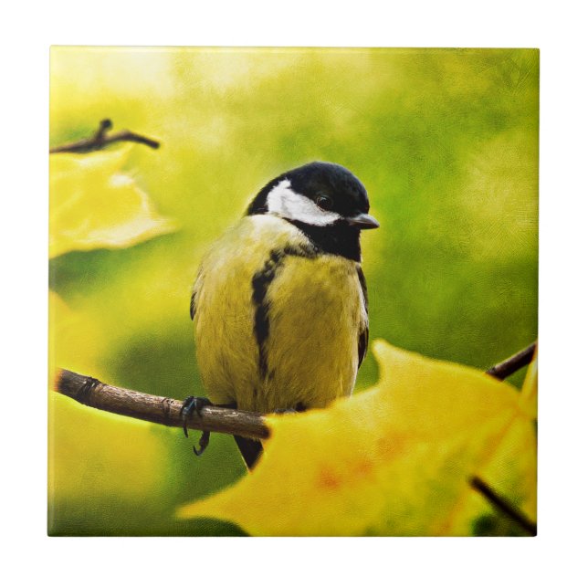 Tomtit - bis zur Saison verkleidet Fliese (Vorderseite)