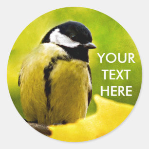Tomtit - bis zur Saison verkleidet Runder Aufkleber