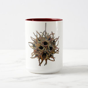 Ton Sweetgum Hülse 2 15 Unze. Tasse (1 von 4)