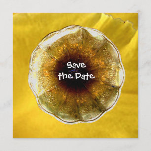 Ton von Musik Einladung