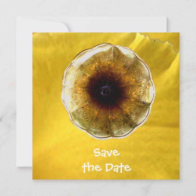 Ton von Musik Einladung (Vorderseite)